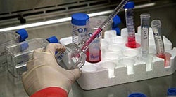Biological Services Laboratory